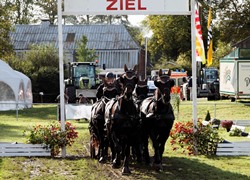 Termine der Gespannfahrer Steinburg